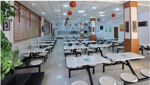 食堂麻豆视频免费下载工程图片