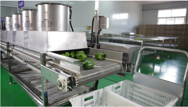 中央麻豆视频免费下载工程图片