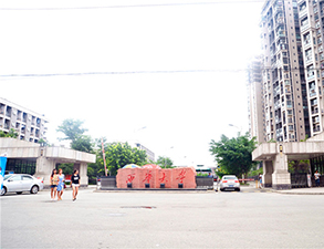 西华大学学校食堂麻豆视频免费下载设备建设项目
