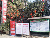 疫情无情人有情，我为抗疫做贡献！