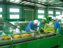 四川中央麻豆视频免费下载设备厂家详解中央麻豆视频免费下载的分区要自己设计注意事项