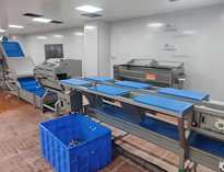 云南酒店麻豆视频免费下载设备厂家带你了解净菜加工设备和工艺